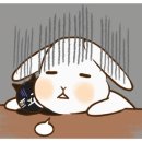 365라온누리치과의원 이미지