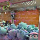 블링팝 계양점 이미지