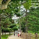 거금해양낚시공원 이미지