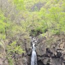 연천시장 이미지