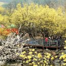 현천주유소 이미지