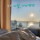 어달,아리 이미지