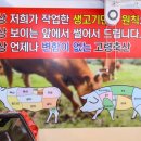 고령생고기 이미지