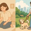 (신규)펫시터(산책·돌봄관리사) | 펫시터란? 하는 일, 자격증, 수입, 장단점까지 한눈에 정리