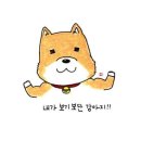 더마힐MGF