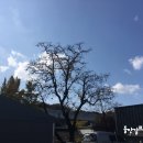 두산할머니경로당 이미지