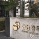 230 이미지