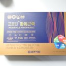 일양플러스팜 | 근력개선 단백질 추천, 일양양품 프로틴 플러스 파워근력 구매후기