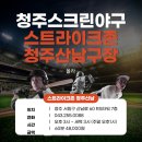 청주 스크린야구 스트라이크존 청주산남구장