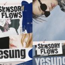 플로우스 뉴시스
