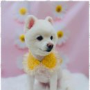 그루밍온 이미지