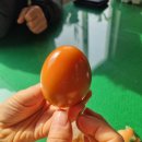 미르식품 이미지
