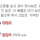 미천리 고분군 이미지