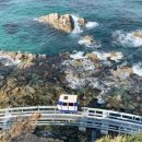 죽변수협회센타 이미지