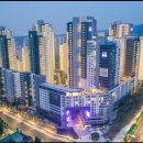 양재대로(남부순환로) 이미지