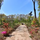 한규설선생묘 이미지