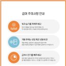 닥터캐닌 이미지