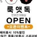 룩앳독 이미지