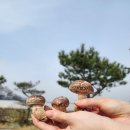 삼송농장 이미지