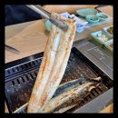 월야88장어 이미지