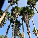 한림가축인공수정소 | 제주도 2/2