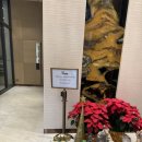 Y마트연제플러스점 | 7박 8일 홍콩/마카오 여행 홍콩 4박 숙소 Y hotel 센트럴, 셩완 가성비 숙소 비교