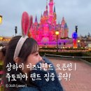 주토피아 | 상하이 디즈니랜드 주토피아 후기｜오픈런부터 일루미네이션까지