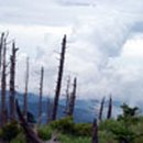 지리산정담아