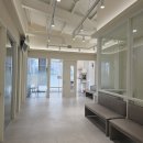 성남동물병원 | 성남 신흥동 동물병원 백내장 수술 후기 들려드려요.