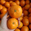 남국농장 이미지