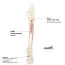 CM Fitness 이미지