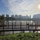 [평일달] 배다리 생태공원 이미지