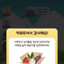 루카와팜