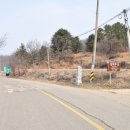 심덕부묘 이미지