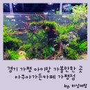 경기 가평 여행, 아이와 가볼만한곳 추천, 진정한 아쿠아카페 발견!! 아쿠아가든카페 가평점 방문후기