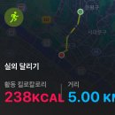 해질녘민박 | 불광천 망원한강공원 해질녘 한강 러닝 후기