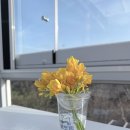 유온목장 이미지