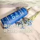 일상운동 | 파리노아 마그네슘 스프레이 운동 후 일상 사용 후기