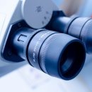 진원 주식회사 이미지