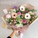 라프티