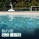 놀라바 | 충남 보령 풀빌라 독채 펜션 라바 풀빌라 후기, 숙박 페스타 할인