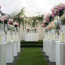 강남하우스 이미지