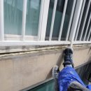 제니스타운 이미지