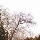 주남치과의원 | [180121] 창원 덕산역, 주남저수지