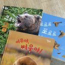 그레이트북스 매장에서 유아 전집 2질 구매 (놀자/베베코알라영어)