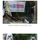 근조화환을 무너뜨리고 지들끼리 좋다고 박수치는 배제고 학생들 이미지