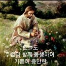 낙원(樂園)은 바로 삶의 현장이다 이미지