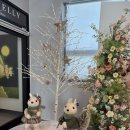 첼리 | 청라 쁘띠첼리 소규모 돌잔치 후기 / 10인이하 돌잔치 / 직계가족 식사 / 첫 돌