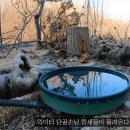 새온천탕 이미지