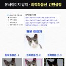 마스터세탁 이미지